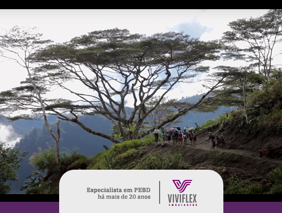 Você está visualizando atualmente Cinema sustentável: 3 filmes que transformam visões!