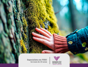 Leia mais sobre o artigo A importância das árvores para o equilíbrio do ecossistema