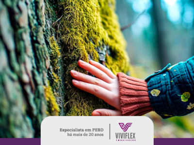 A importância das árvores para o equilíbrio do ecossistema