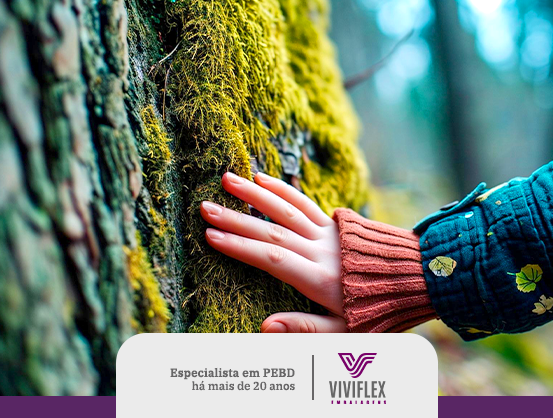 Você está visualizando atualmente A importância das árvores para o equilíbrio do ecossistema